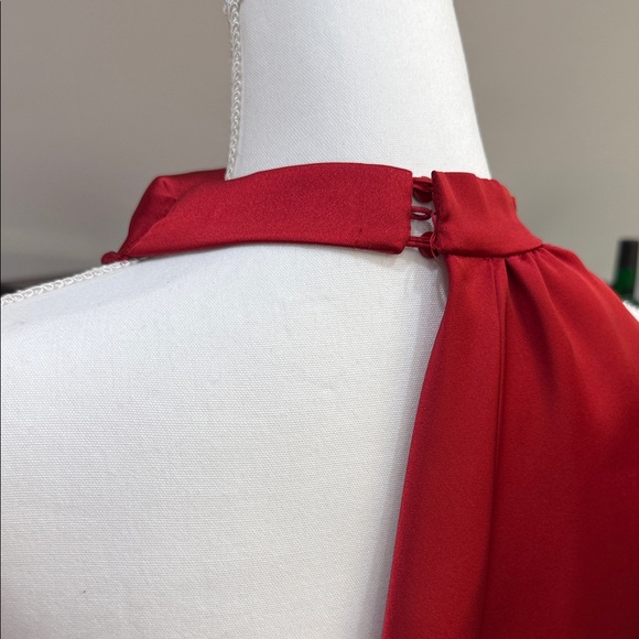 Zara Red Backless Dress - Picture 3 of 8